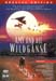 amyunddiewildgaense_dvd